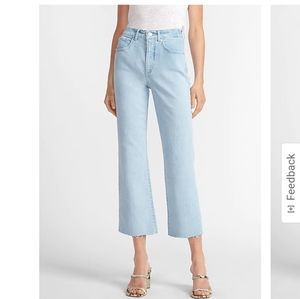 Express Wide Leg Jeans